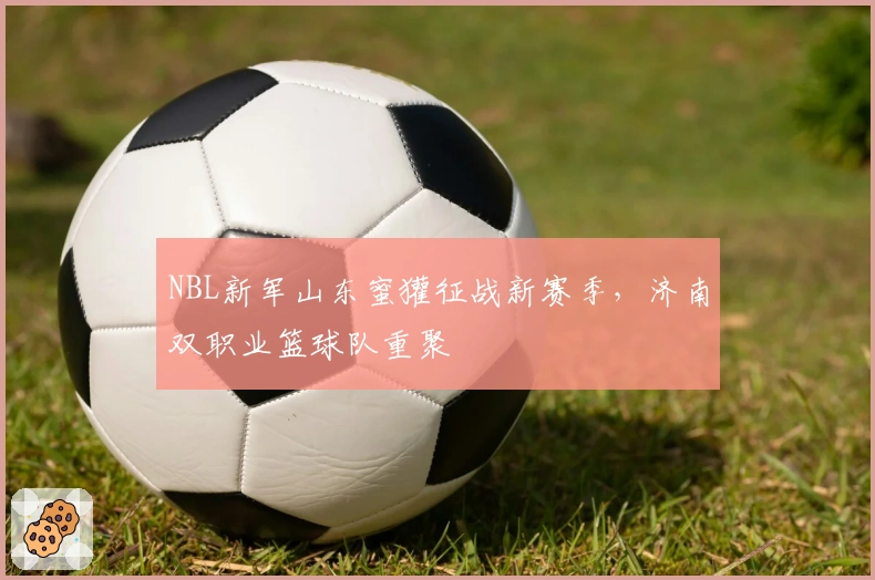 NBL新军山东蜜獾征战新赛季，济南双职业篮球队重聚
