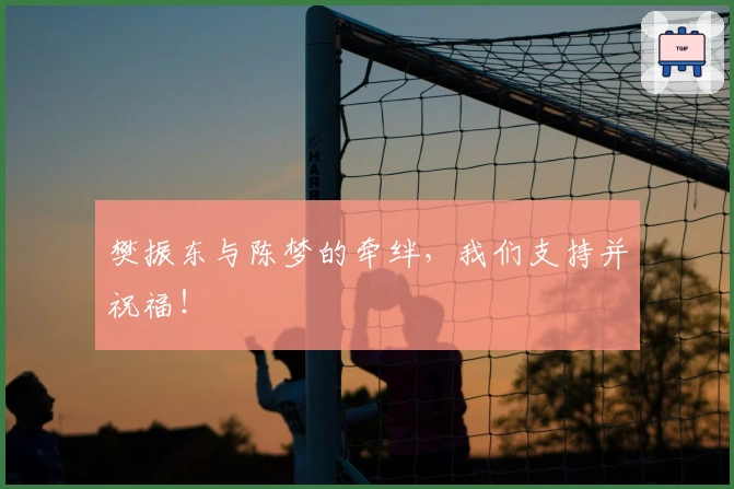 樊振东与陈梦的牵绊，我们支持并祝福！